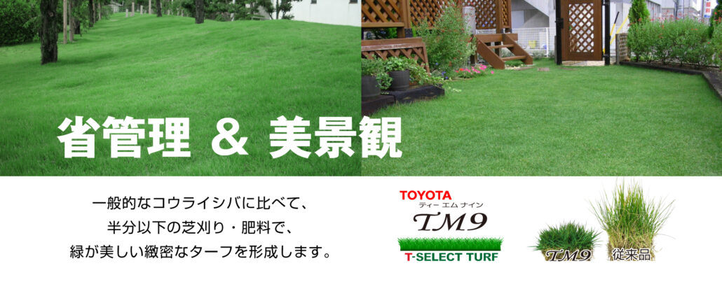 TM9 TOYOTA トヨタ自動車 芝生 芝張り