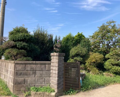 庭木 樹木 剪定 仕立物 仕立て方 作業前 庭師 植木屋 春日部市 杉戸町