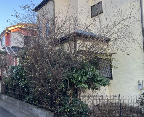 埼玉県 さいたま 空き家 庭木 処分 植木屋 伐採業者 作業前